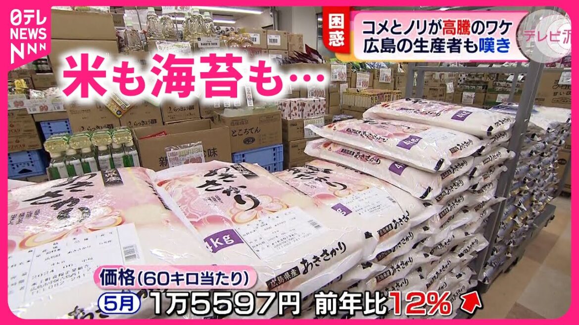 【値上げ】なぜこんなに高い？米と海苔  価格高騰のワケは…　広島　NNNセレクション