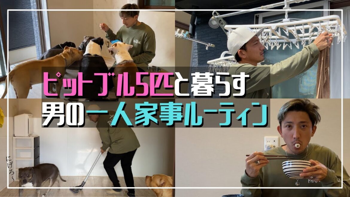 【家事ルーティン】ピットブル5匹の愛犬と暮らす男一人で家事モーニングルーティン【アメリカンピットブル】