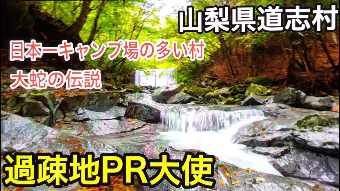 【山梨県道志村観光PR動画】日本一キャンプ場が多い聖地道志村　大人気の道の駅どうし　美しい秋落葉の道志村で紅葉キャンプを楽しむ事もできる　道志みち
