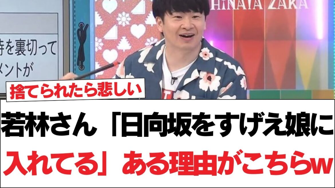 【日向坂46】若林さん「日向坂をすげえ娘に入れてる」ある理由がこちらw【日向坂で会いましょう】#日向坂46 #日向坂で会いましょう #乃木坂46 #櫻坂46