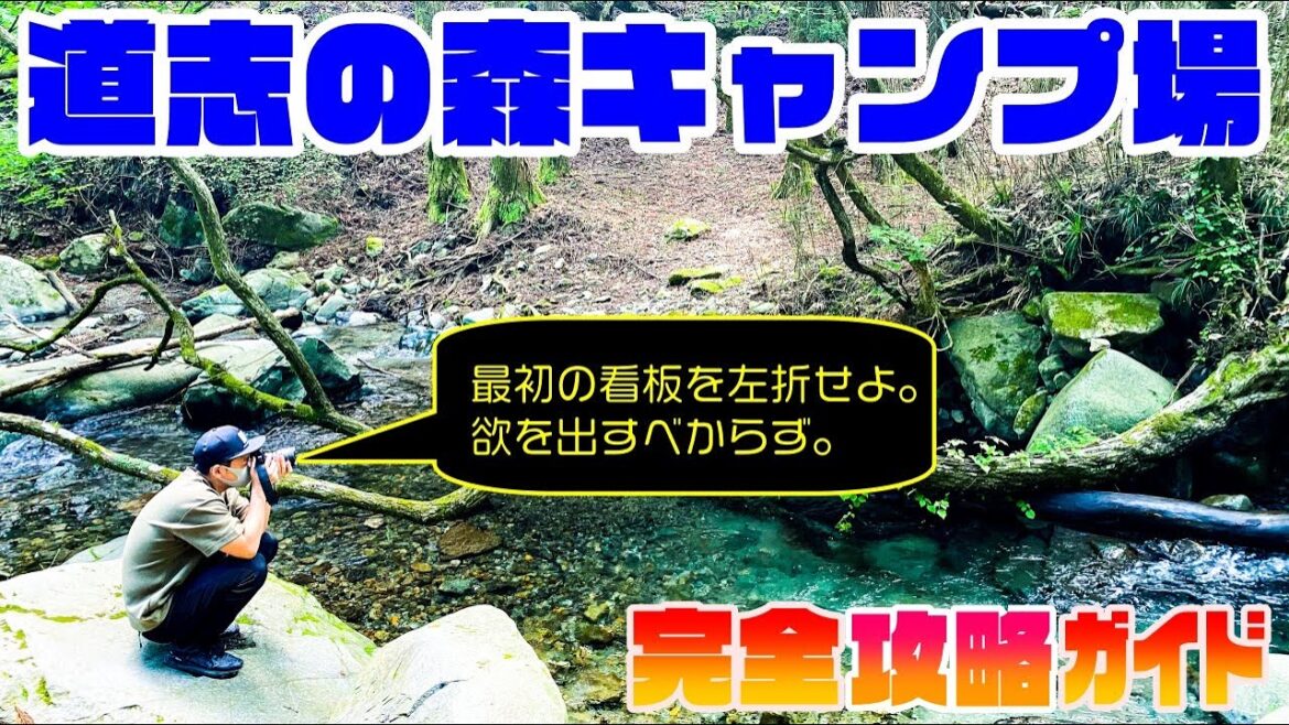 【道志の森キャンプ場】完全攻略ガイド！「おすすめエリア」「周回ルート」を映像・音声付きで徹底解説💡