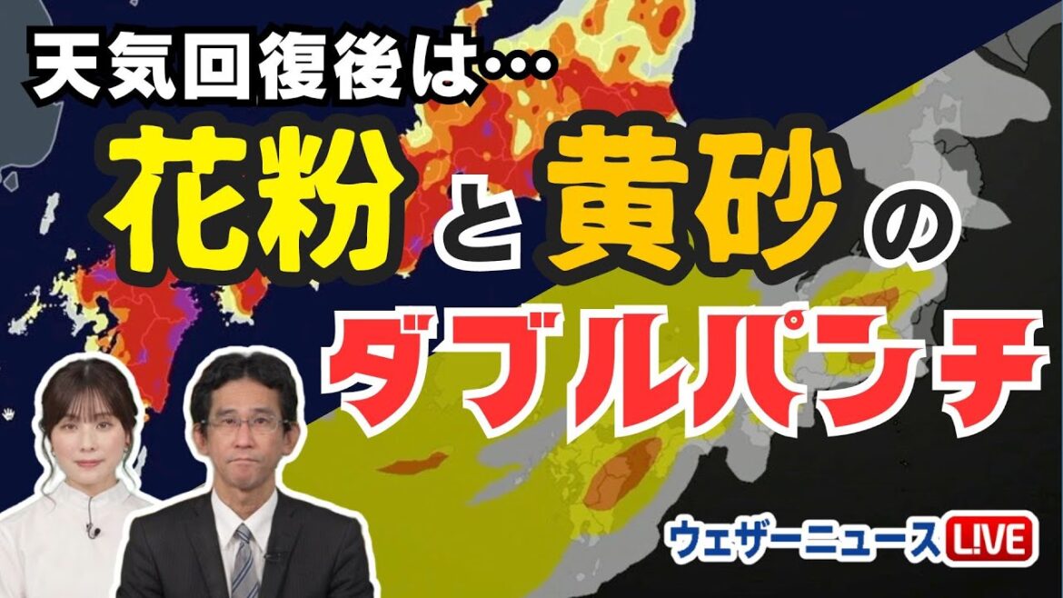 【雨のあとは…】天気回復後は花粉と黄砂のダブルパンチ