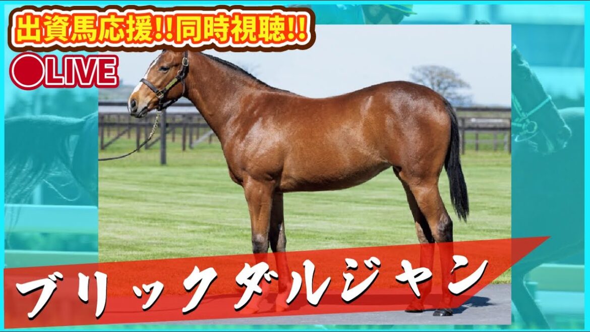 【 #ブリックダルジャン 】新馬戦！からの【#レジェンドシップ 】出資馬全力応援ライブ配信 ！ #推し活最高