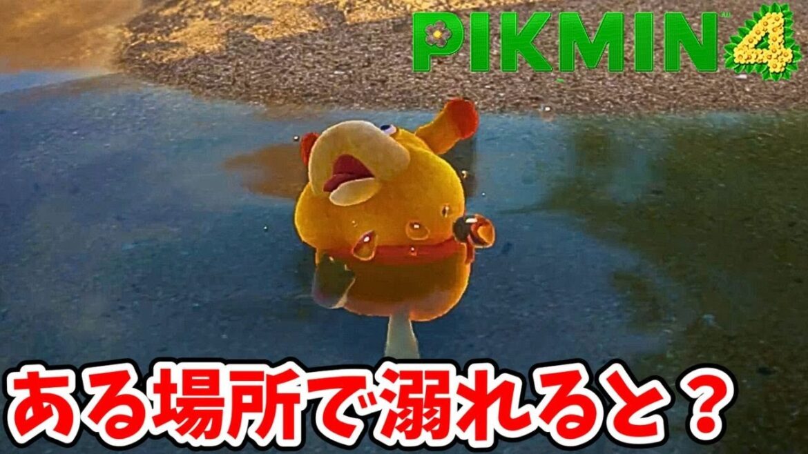 オッチンが魚になる瞬間がコチラ！【ピクミン4】