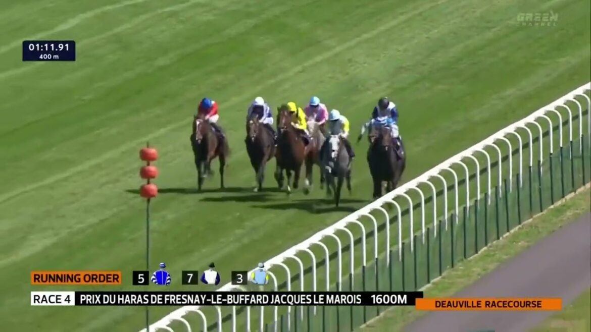 ジャックルマロワ賞2024 / Prix du Haras de Fresnay-le-Buffard Jacques le Marois 2024