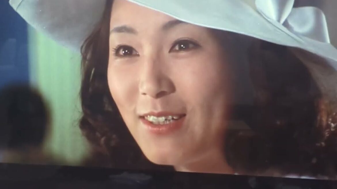 トラック野郎　望郷一番星　島田陽子と出会う　また仕事は運輸省関係と