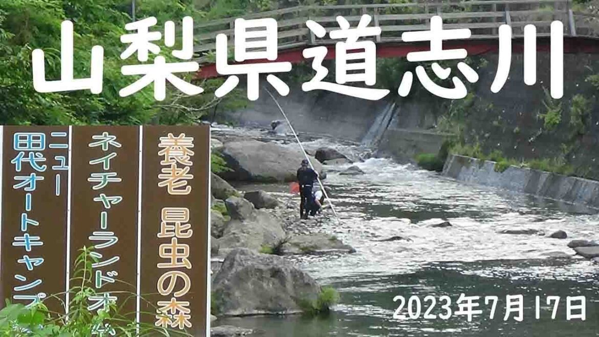 山梨県道志村　相模川水系道志川の様子です。