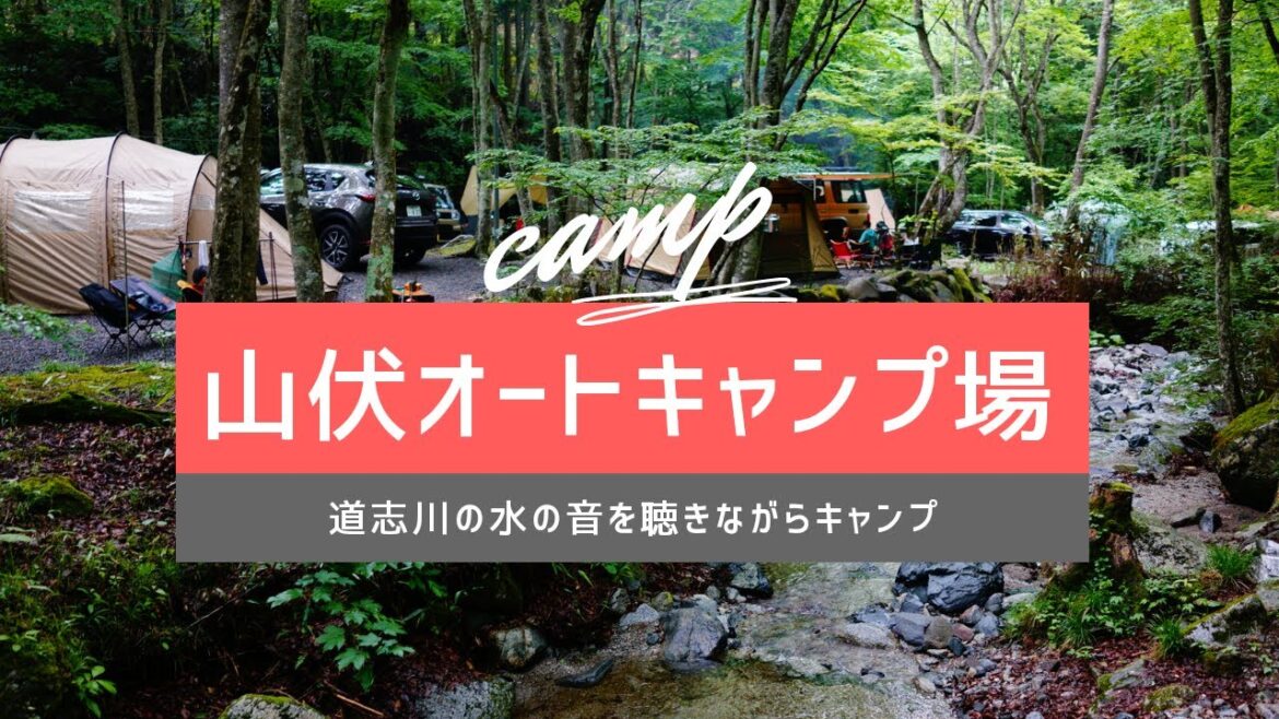 山梨県道志村【山伏オートキャンプ場】新緑に囲まれて、水の音を聴きながらキャンプ