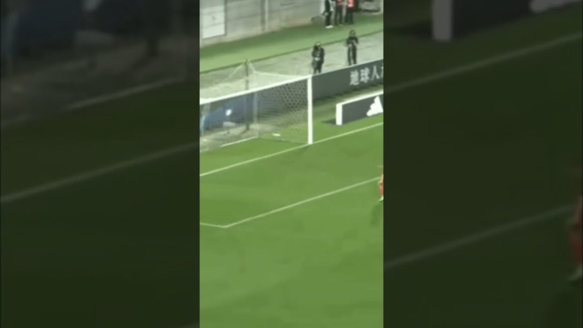 日本対チュニジアハイライト