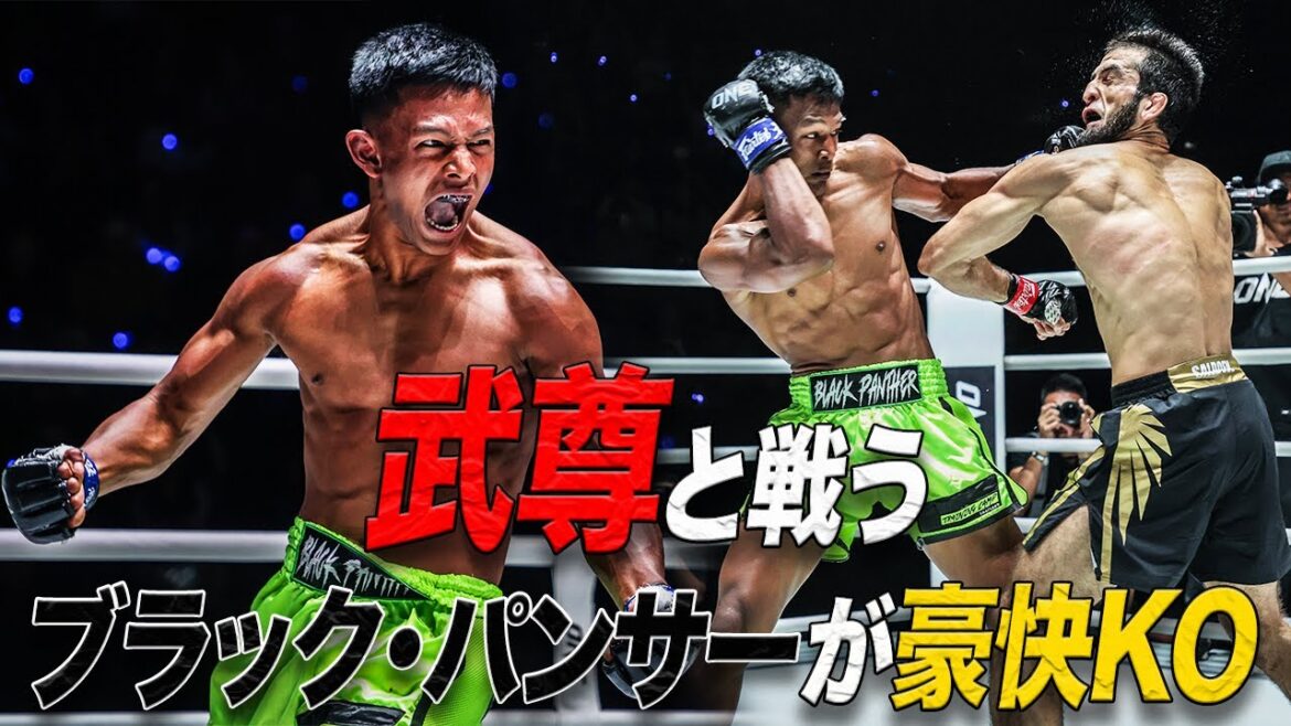 武尊🇯🇵 と次戦で戦うブラック・パンサー🇹🇭が豪快KO勝利🤯【フルファイト】アリ・サルドエフ vs ブラック・パンサー（ONE Fight Night 23：2024年7月6日）