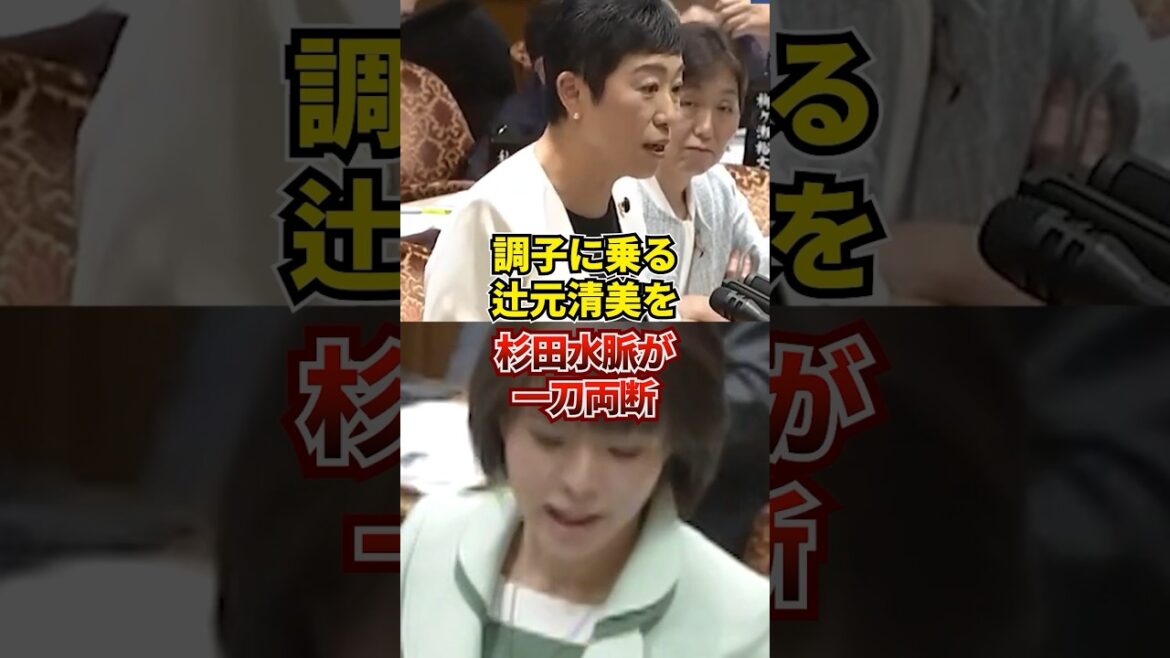 辻元清美の闇を晒した杉田水脈の発言とは？