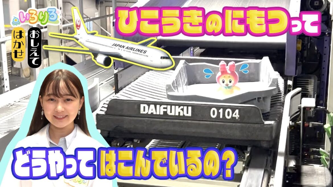 飛行機に預ける荷物の行方は！？りろりろが荷物になって大冒険！？【いろりろ公式】