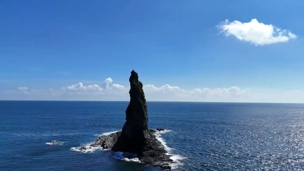 鹿児島　枕崎市 火乃神公園 立神　空撮 dji mini4pro