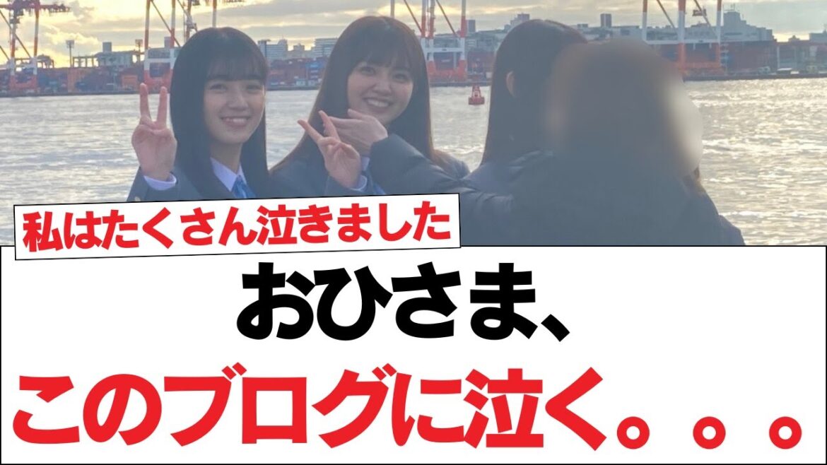 【日向坂46】おひさま、このブログに泣く。。。【日向坂で会いましょう】#日向坂46 #日向坂で会いましょう #乃木坂46 #櫻坂46