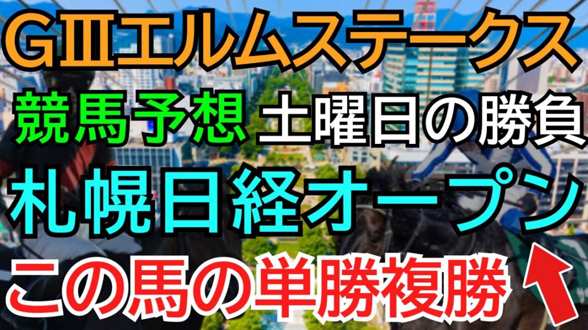 【エルムステークス2024】競馬予想！土曜日は札幌１１レースの札幌日経オープンで勝負！８月初週を的中で発進へ🏇