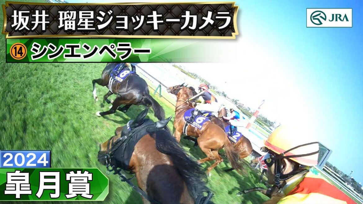 【ジョッキーカメラ】シンエンペラー騎乗の坂井瑠星騎手ジョッキーカメラ映像|2024年皐月賞|JRA公式 【ジョッキーカメラ】シンエンペラー騎乗の坂井瑠星騎手ジョッキーカメラ映像|2024年皐月賞|JRA公式