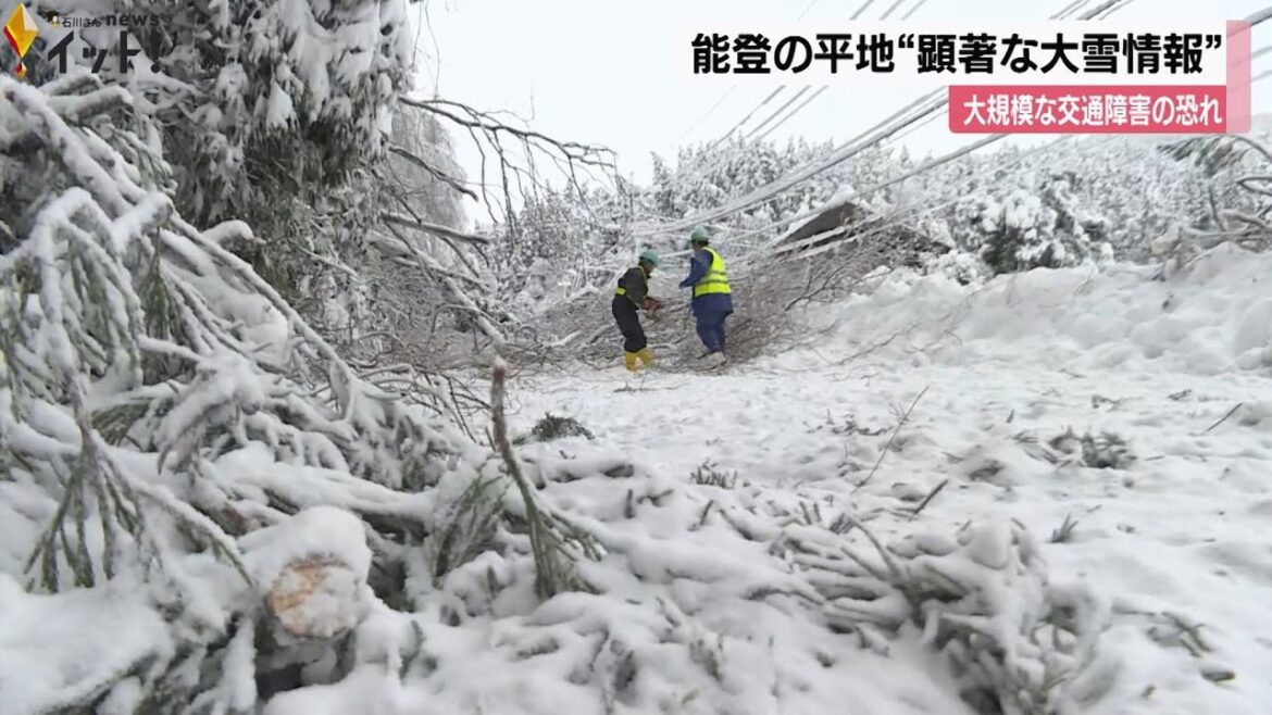 倒木で停電も…能登の平地に「顕著な大雪に関する気象情報」発表 大規模な交通障害に警戒を 石川 倒木で停電も…能登の平地に「顕著な大雪に関する気象情報」発表 大規模な交通障害に警戒を 石川