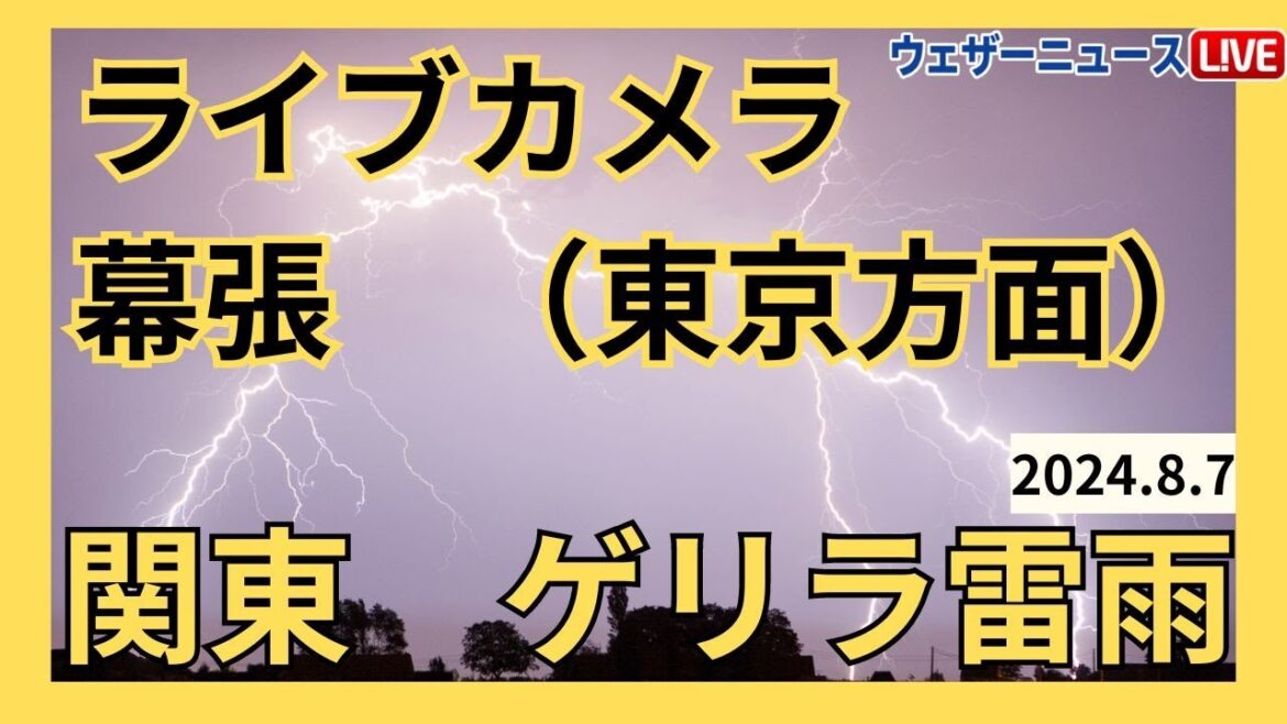 【関東でゲリラ雷雨】幕張 雷ライブカメラ　東京方向／ 2024年8月7日(水)