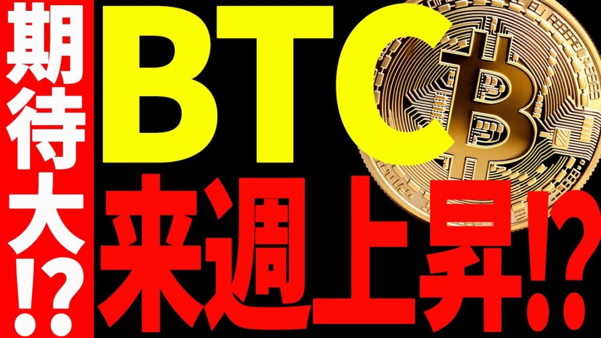 【期待大⁉︎】ビットコインが来週上昇⁉︎今後の最新分析を共有！【仮想通貨】