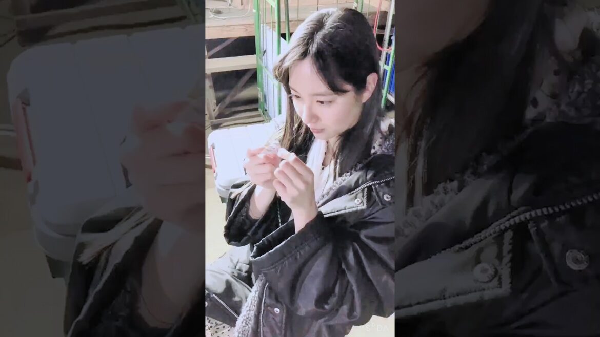 折り鶴に夢中になる新川優愛でピタ止めチャレンジ #shorts #おすすめ #可愛い