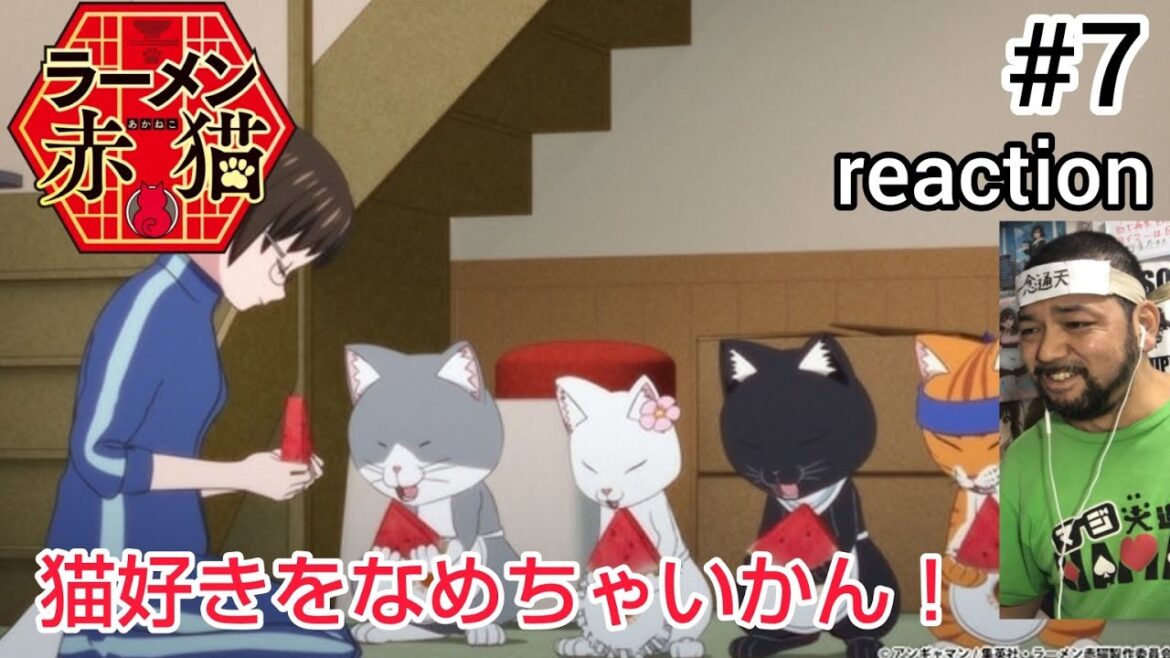 ラーメン赤猫 7話 リアクション 【猫好きをなめたらあかんw】 Rāmen Aka Neko ep7 reaction 同時視聴 反応 #ラーメン赤猫