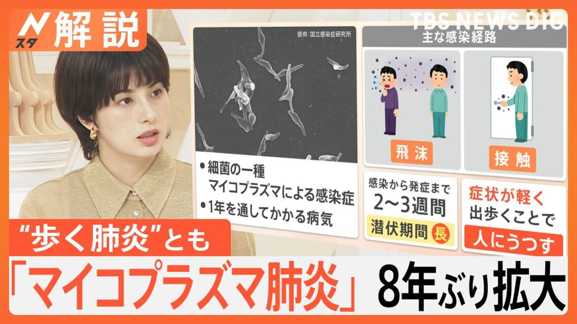「マイコプラズマ肺炎」約8年ぶりの高水準に　拡大の背景には“潜伏期間の長さ”【Nスタ解説】｜TBS NEWS DIG