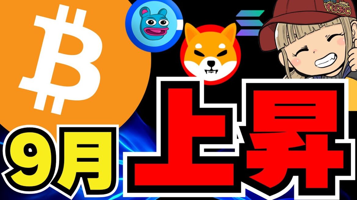 【🔥仮想通貨9月上昇か】ビットコインバブル来る？波に備えよ／ソラナがイーサリアムに勝つ？３年以内に何が起こるの？／ミームコイン、クジラが動き出す。。ドージコイン、柴犬、BRETT