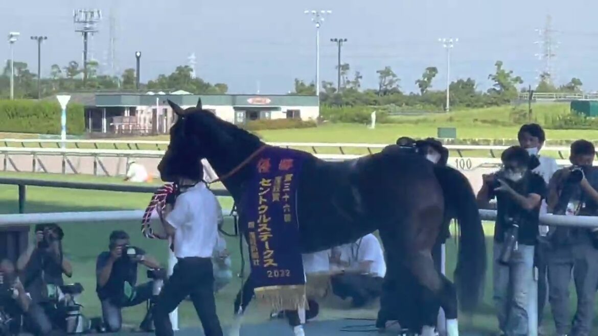セントウルステークス🏇✨🏆口取りメイケイエール