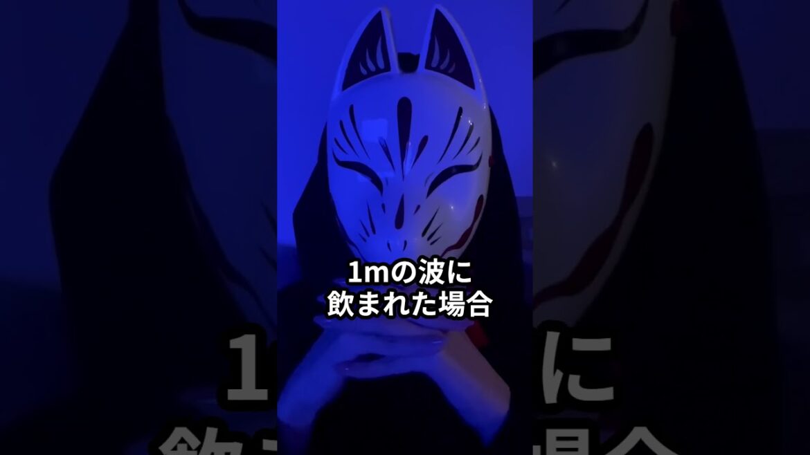 1mの津波の恐ろしさ