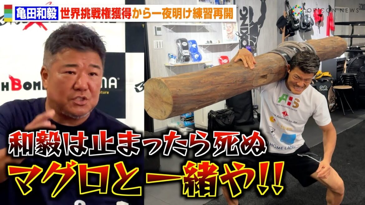 亀田和毅、ドラミニ戦から一夜明け異例の練習再開「和毅はマグロと一緒」　父・亀田史郎トレーナーの指導でハンマー打ち＆丸太スクワットを披露