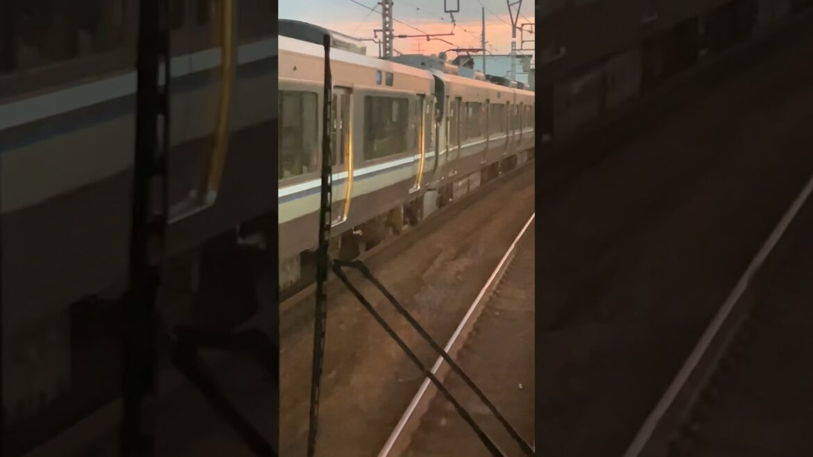 【新快速】一瞬で抜かれる！速すぎて並走すら出来ない...#shorts