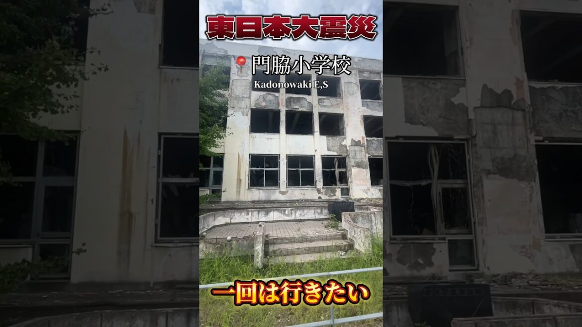 津波から子供たちを守った英雄　“門脇小学校”とは　#shorts #津波 #東日本大震災 #地震