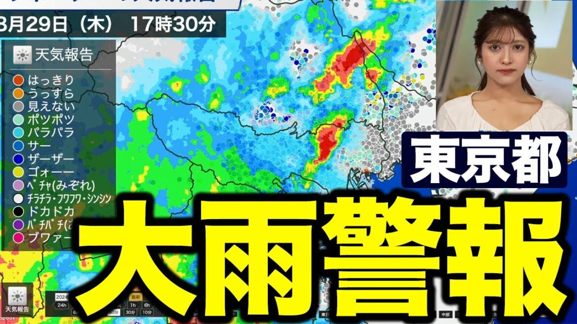 【速報】東京都に大雨警報・洪水警報が発表