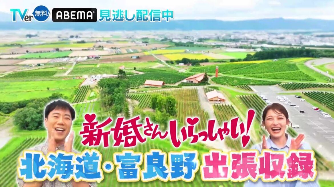 「新婚さんいらっしゃい！」9月1日（日）ひる放送！
