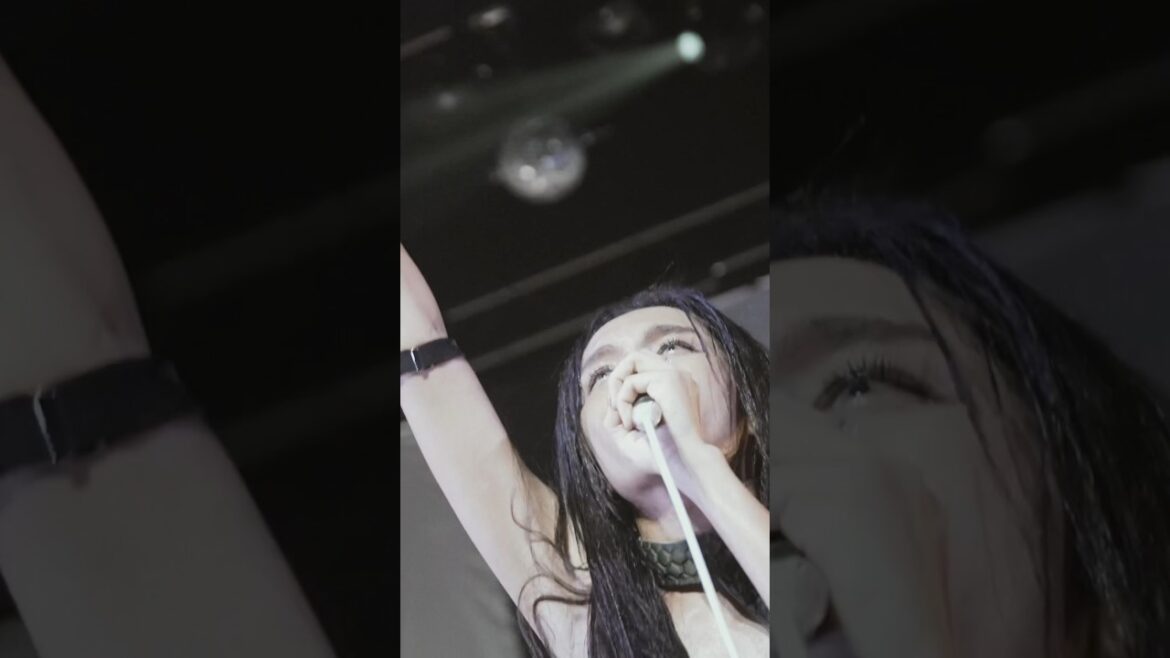 “全国ホールツアー2023-2024「十二次元+01」”ツアー千秋楽を記念し、「01」Live映像を公開。#女王蜂 #QUEENBEE #女王蜂01 #アンデッドアンラック #アンデラ