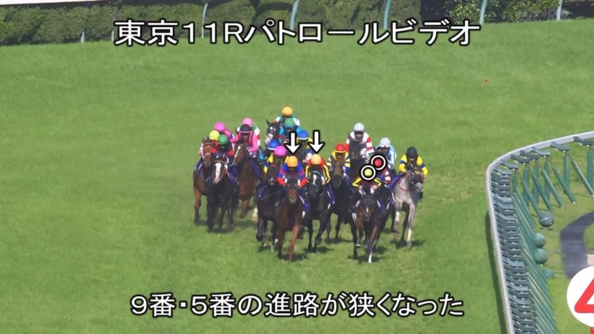 2024年 NHKマイルカップ　パトロールビデオ
