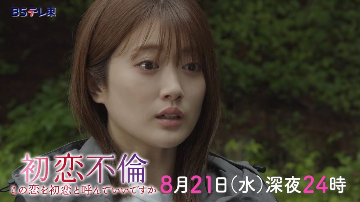 DRAMA ADDICT「初恋不倫」第8話 | ＢＳテレ東