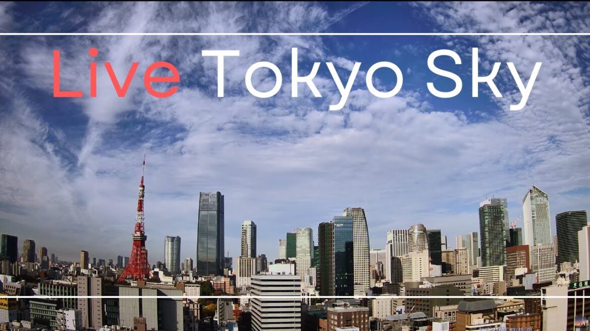 Live Weather Tokyo Tower, Azabudai Hills and Roppongi Hills  東京タワーと空模様 2024.8.12
