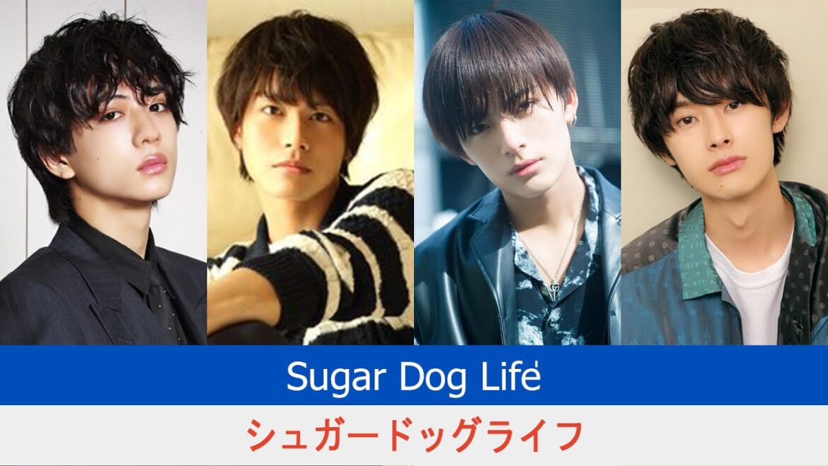 Sugar Dog Life Cast | Sugar Dog Life 2024 | シュガードッグライフ 2024