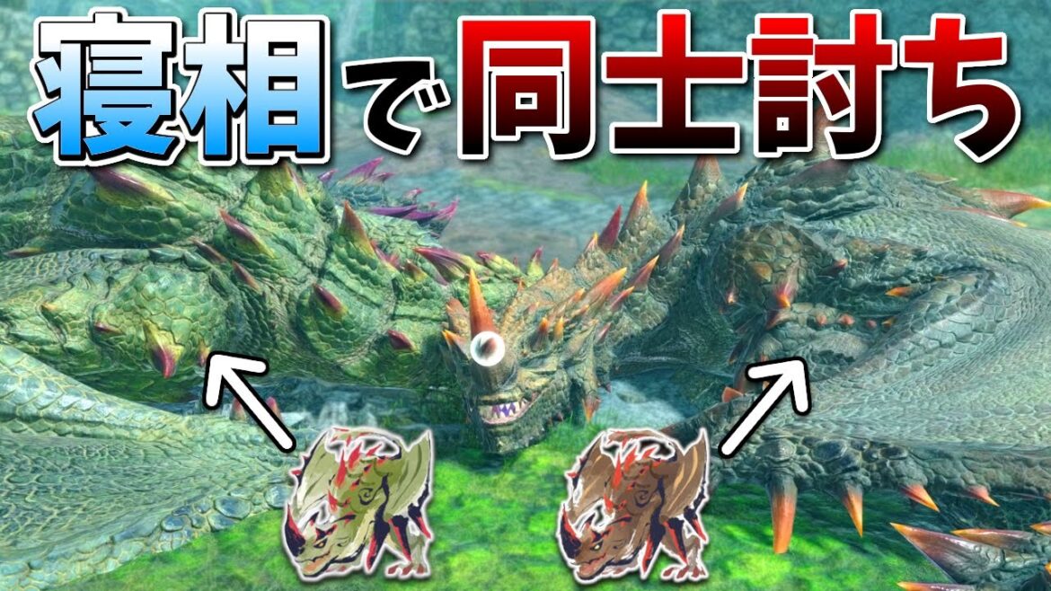 【検証】エスピナス２体を添い寝させたら、寝相が悪すぎて同士討ちする説（モンハンライズサンブレイク）