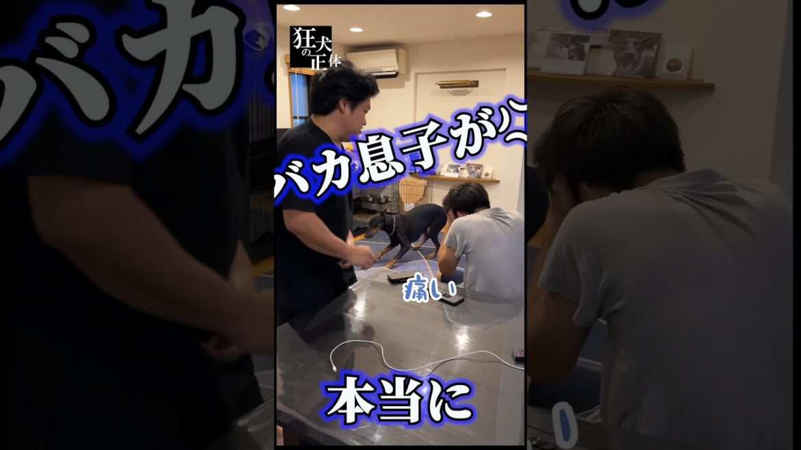 子供を守るために取ったドーベルマンの行動