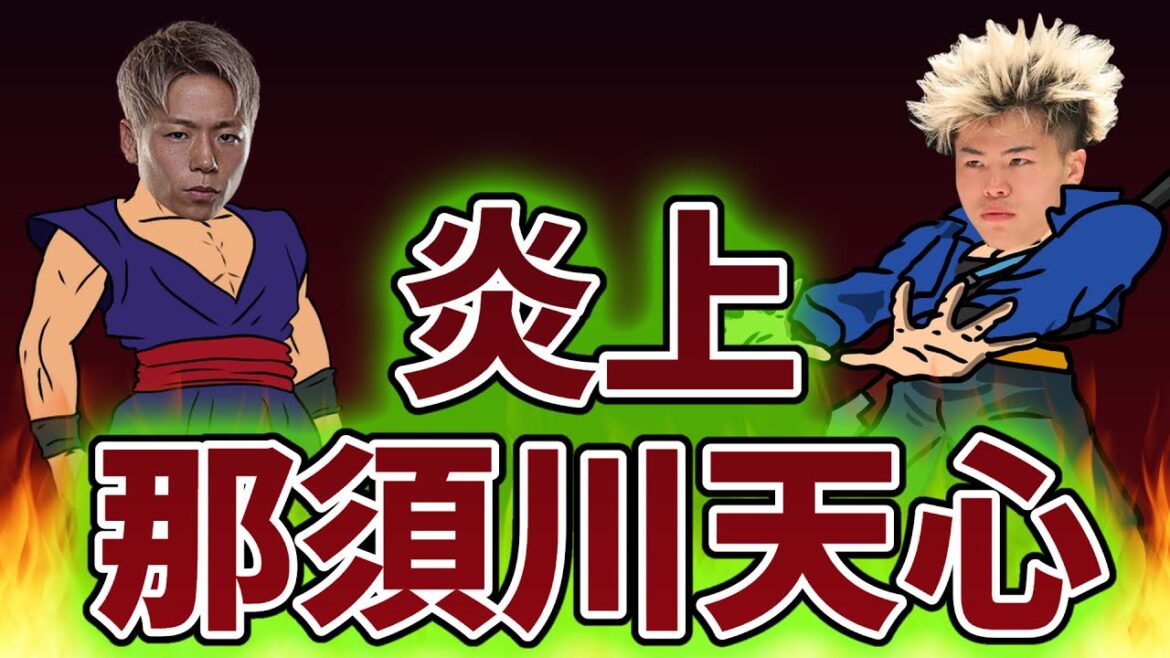 武尊に苦言を呈した那須川天心の炎上発言の数々
