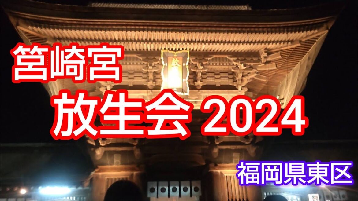 ①筥崎宮 放生会 2024 福岡県 お祭り 縁日