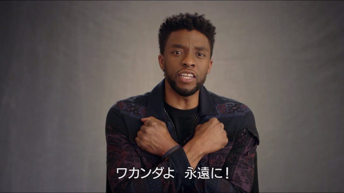 「ブラックパンサー」MovieNEX　ティ・チャラのメッセージ付き予告編