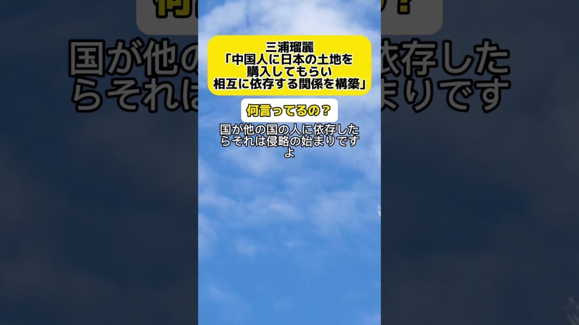 【批判殺到】三浦瑠麗「中国人に日本の土地を購入してもらい相互に依存する関係を構築する必要がある」 #時事 #三浦瑠麗