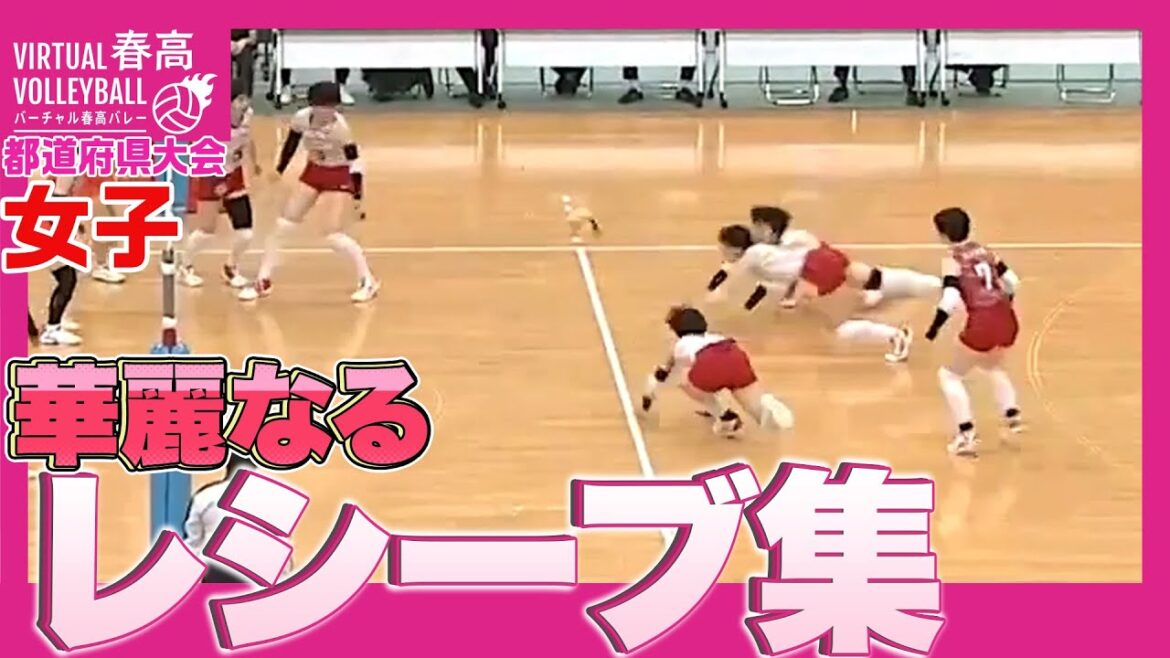【春高バレー都道府県大会】レシーブ 〜女子編〜