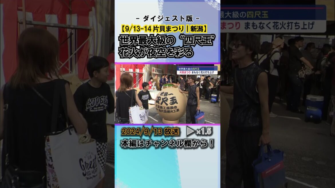 【片貝まつり開幕！】世界最大級の〝四尺玉〟花火が夜空を彩る #news #short  #ux新潟テレビ21 #新潟