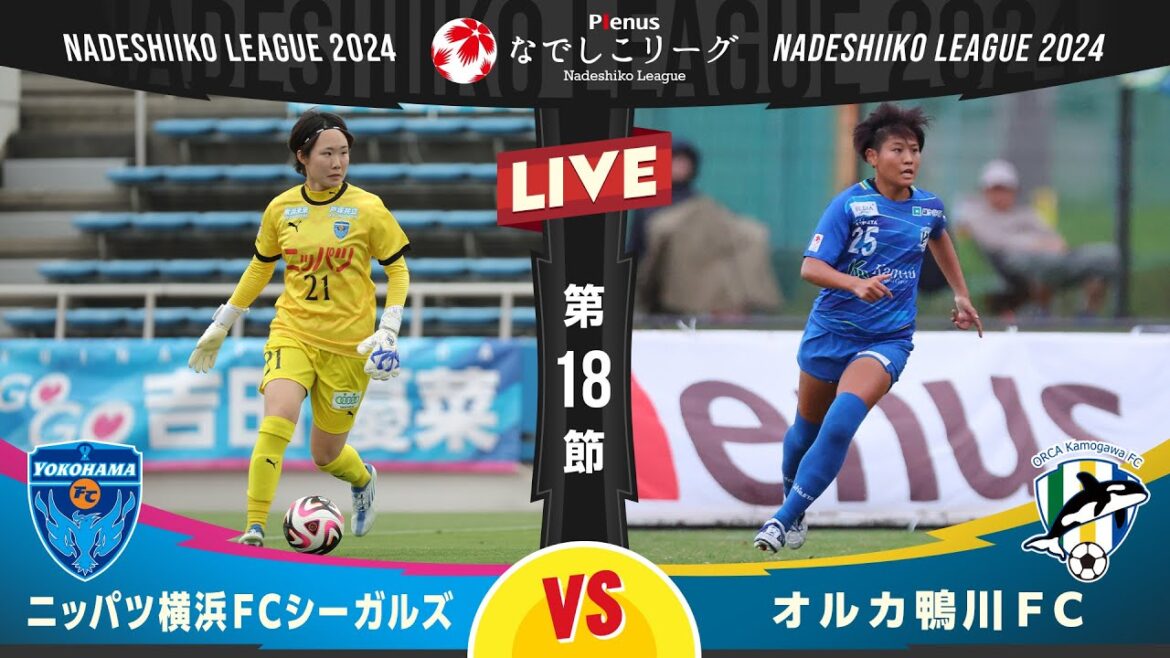 【第１８節】ニッパツ横浜ＦＣシーガルズ vs オルカ鴨川ＦＣ