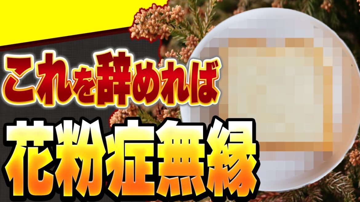 【花粉対策】病院では教えてくれない花粉症の原因！実は食べ物が関係してる？みんなが毎日食べてる物【グルテンフリー】
