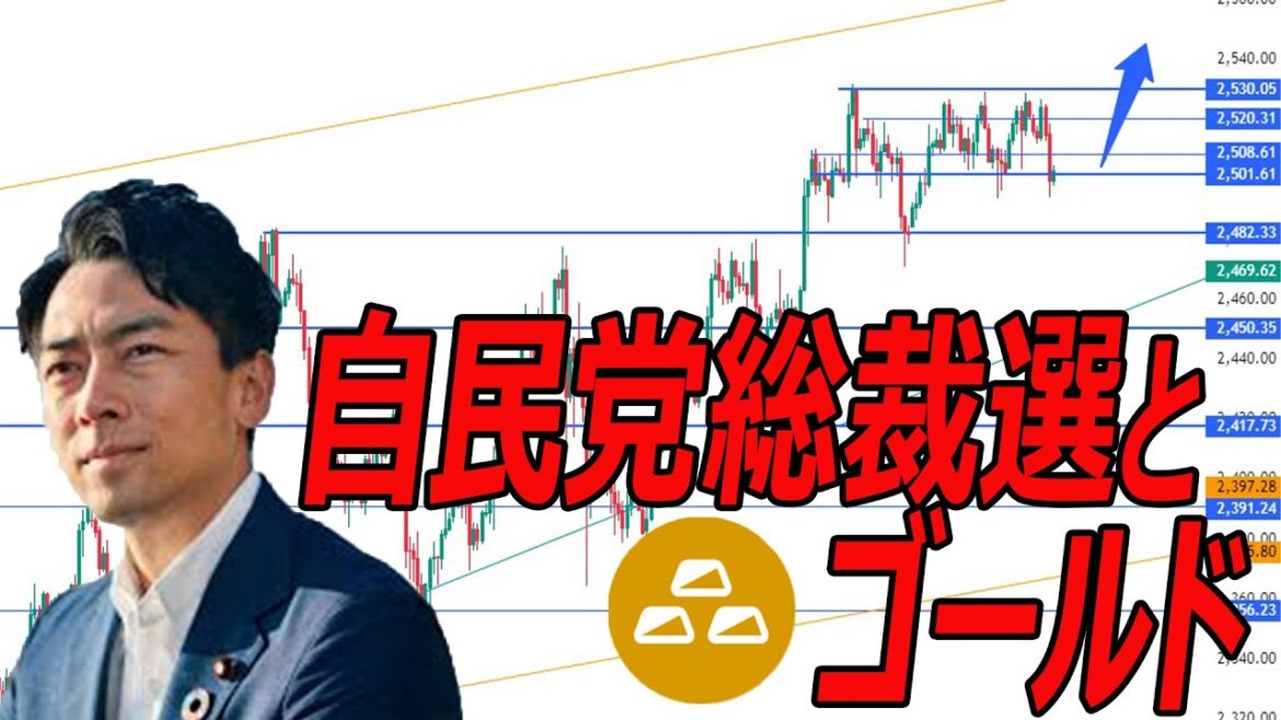 【2024年9月ビッグイベントは自民党総裁選、そしてゴールドの値動きはどうなるかズバリ答えます】